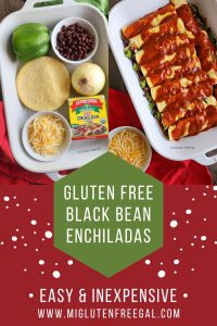 Gluten Free Black Bean Enchiladas