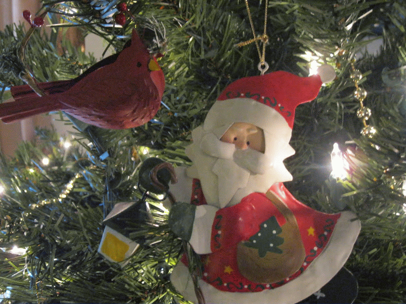 Christmas Davison Ornaments