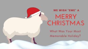 Christmas and the Runaway Sheep