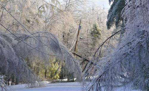 Michigan Christmas 2013 Ice Storm