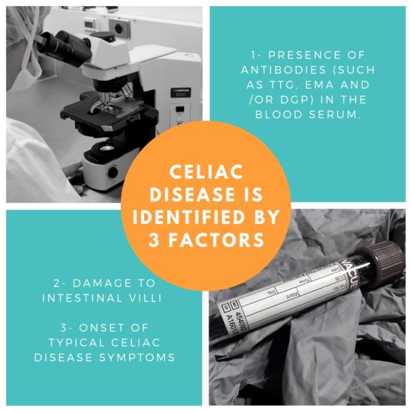 Gluten Freedom 3 Identifying factors of Celiac Disease
