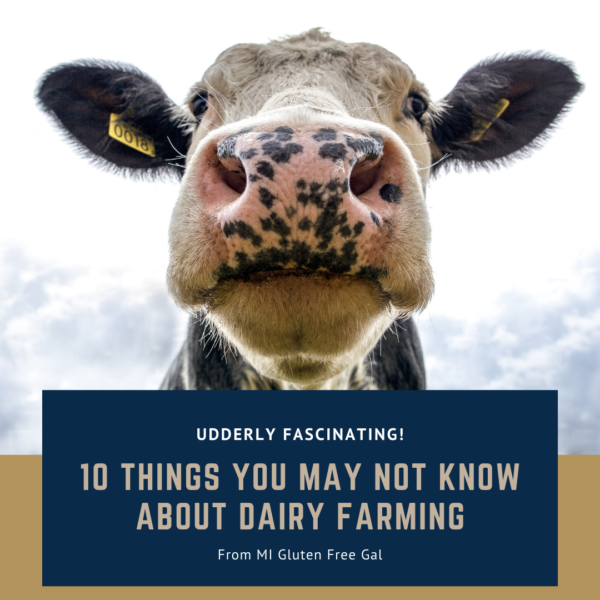 10 Udderly Fascinating Dairy Farm Facts - MI Gluten Free Gal