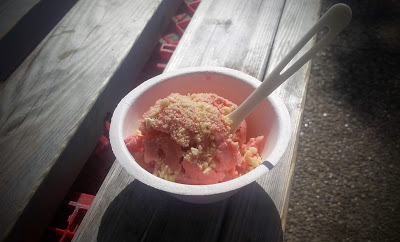 Faygo Red Pop ice cream with Pop Rocks at Fenton Fire Hall