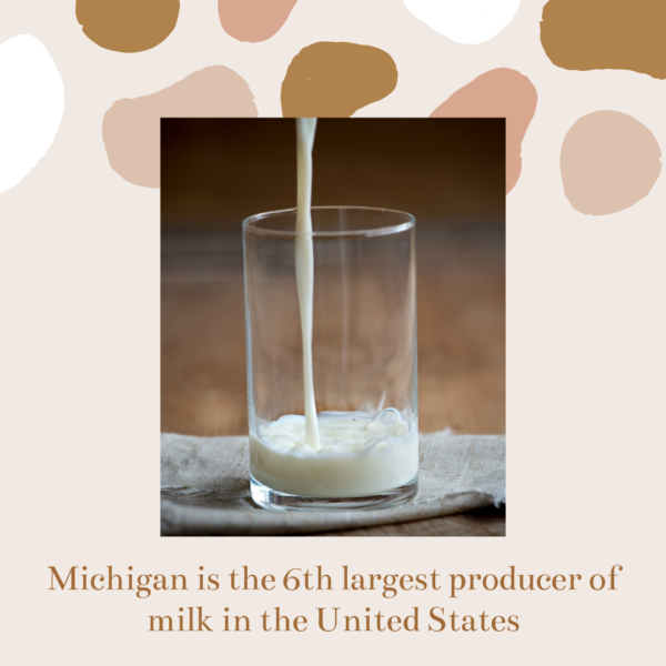 Michigan is the 6th largest milk producer in the United States