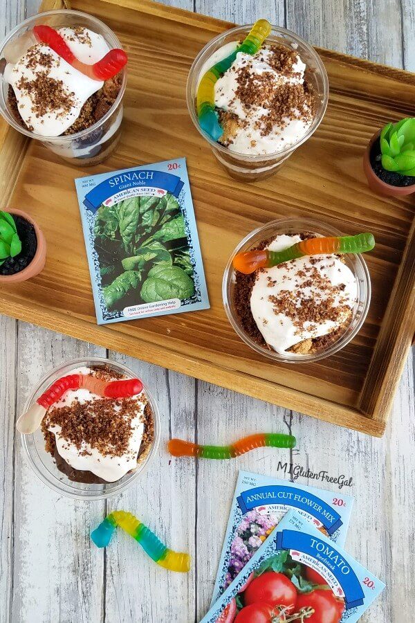 Enjoy Life Gluten Free DIrt Cups Overhead Shot