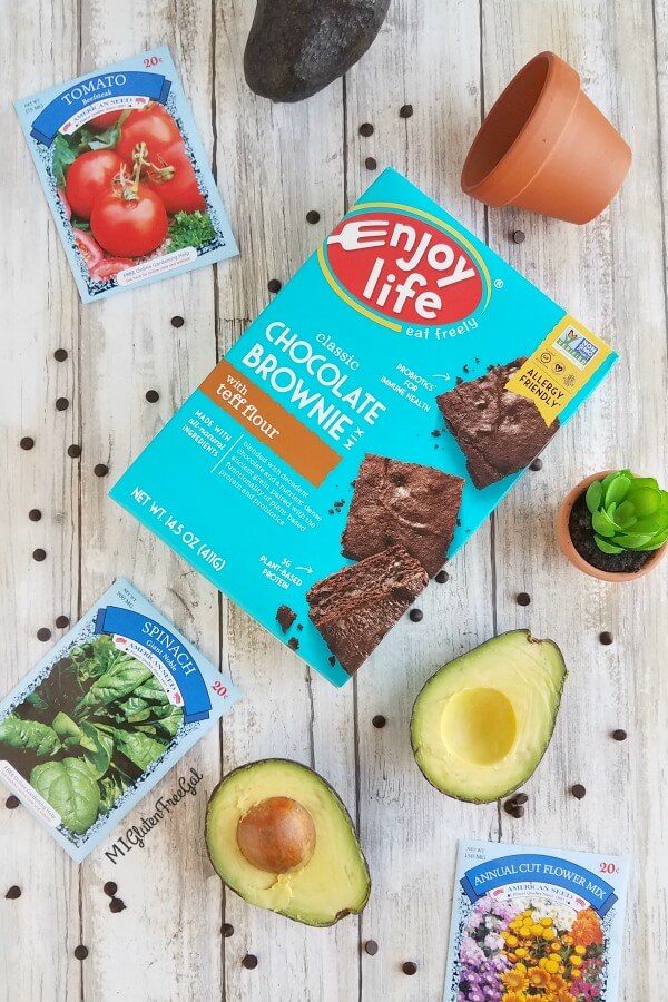 Enjoy Life Brownie Mix and Avocado for Dairy Free Chocolate Pudding