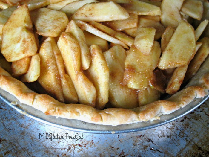 Gluten-Free Dutch Apple Pie Slices in Par Baked Crust