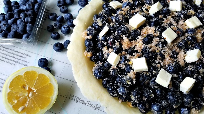 Gluten-Free Blueberry Pie Crust filled with Michigan blueberries