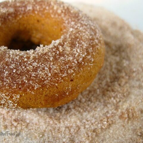 Two Ingredient Allergen-Friendly Gluten-Free Pumpkin Donuts