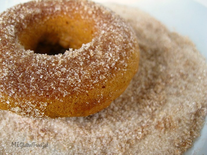 Two Ingredient Allergen-Friendly Gluten-Free Pumpkin Donuts