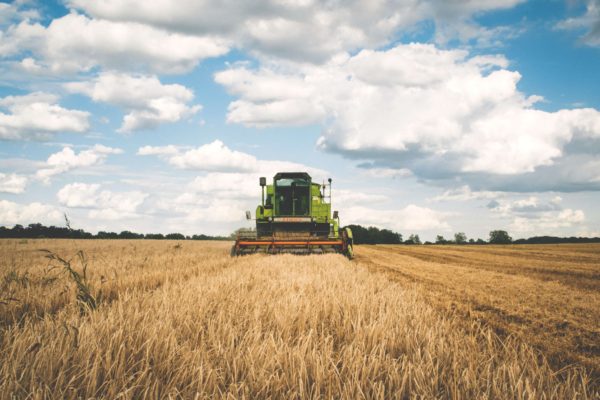 gluten free oats harvest