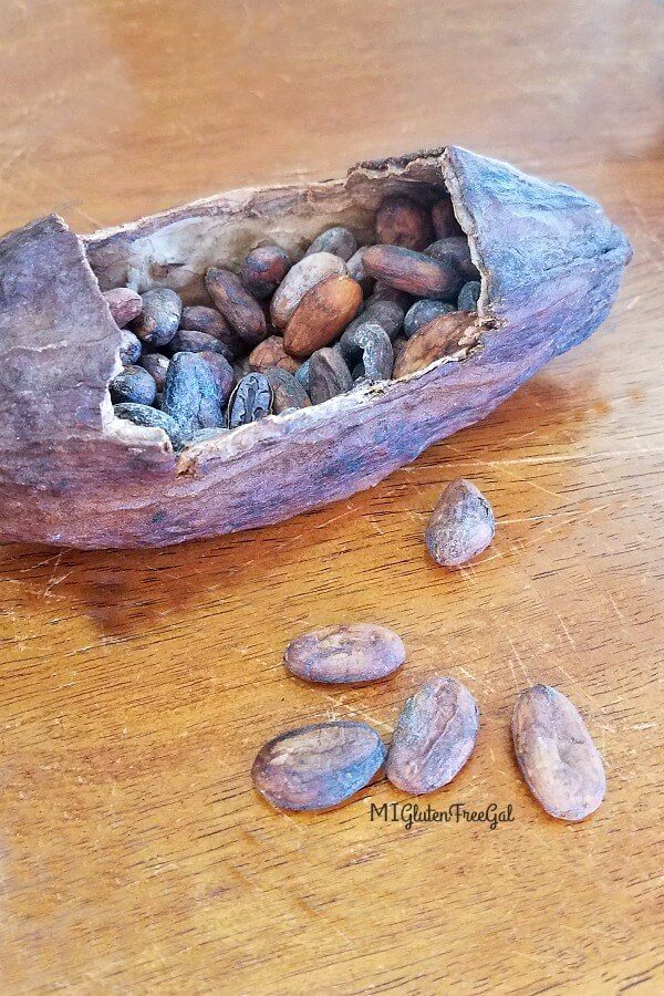 Cocoa Pod and Beans