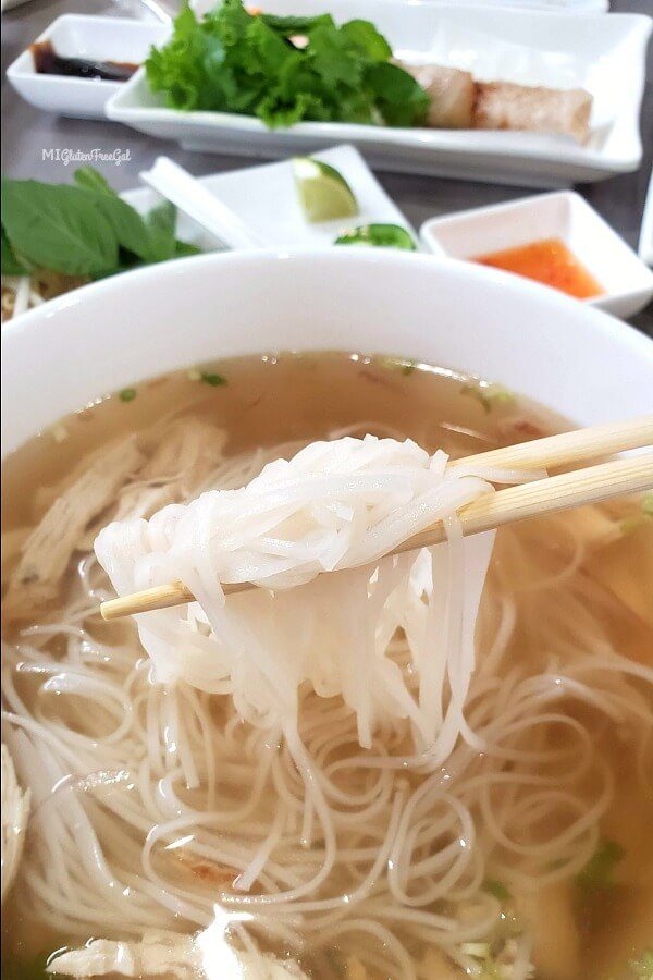 The Pho Pot Gluten Free Chicken Pho Noodle Closeup