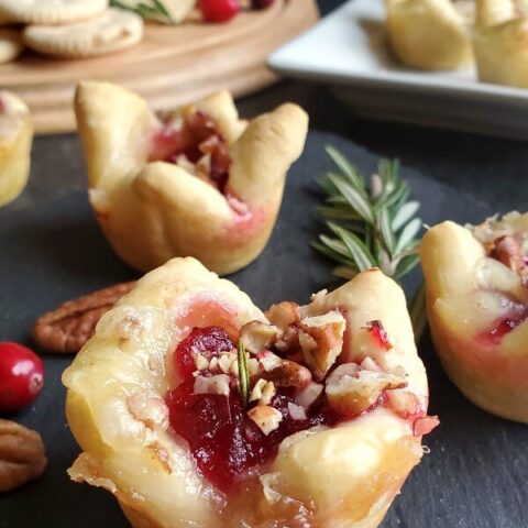 grain free cranberry brie bites