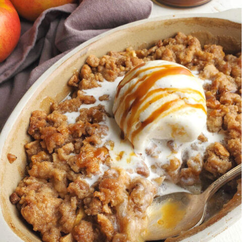 https://miglutenfreegal.com/wp-content/uploads/2020/09/apple-crisp-one-dish-bite-taken-1-1-480x480.jpg