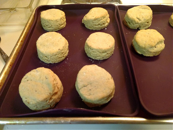 gluten free biscuits