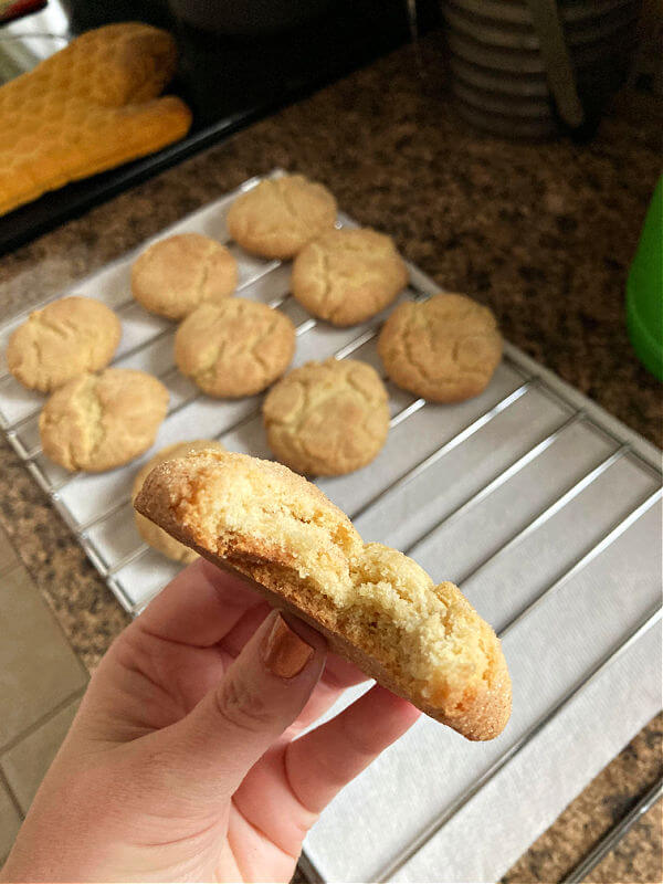 The GF Cookie Lady Snickerdoodle Cookie