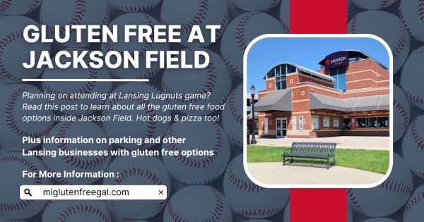 Gluten Free Options at Lansing Lugnuts Jackson Field Header