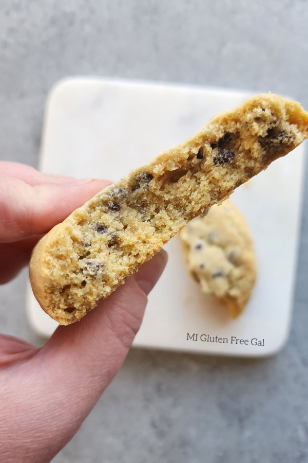 Taste Without a Trace Gluten Free and Dairy Free Chocolate Chip Cookie