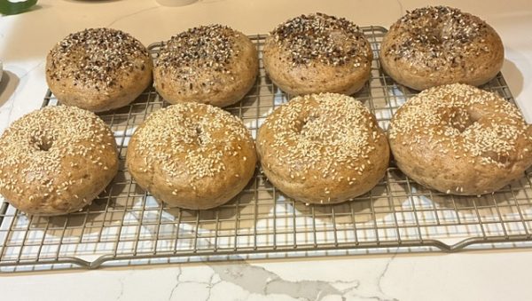 Gluten Free Bagels