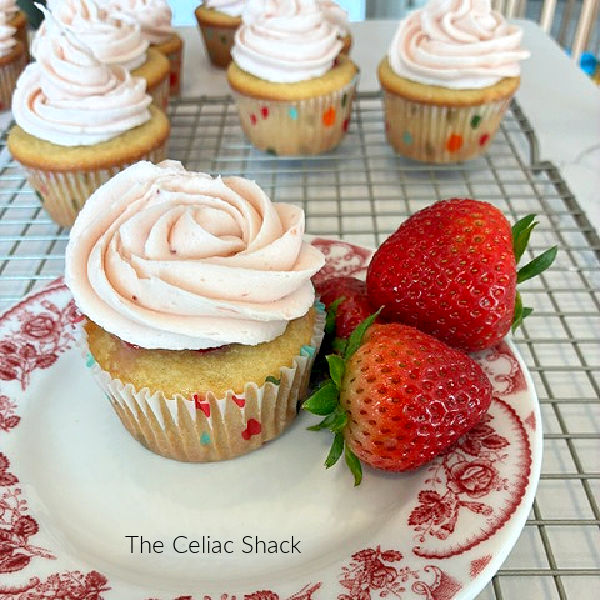 Gluten Free Cupcakes from The Celiac Shack in Richmond Michigan