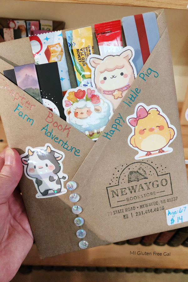 Blind Date with a Book for Children at Newaygo Bookstore